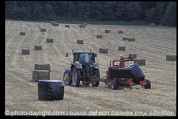 agriculture